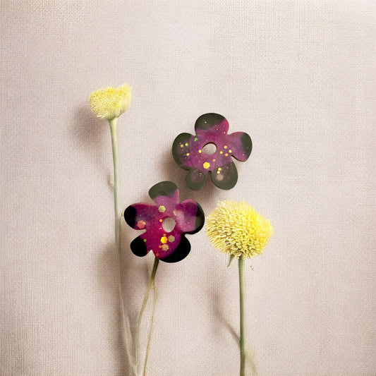 Pampilles Exception bordeaux et noir